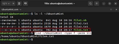 Linux Find Files With Execute Permission