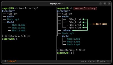 Linux Find Large Files In Directory Tree