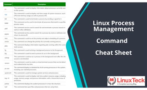 Linux Get Info About A Process