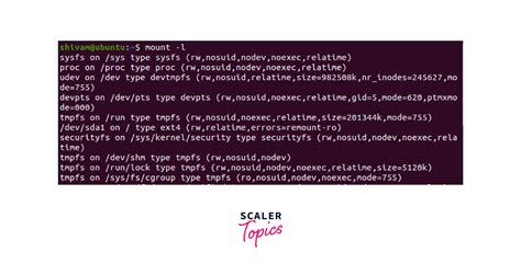 Linux Get Mount Point Type