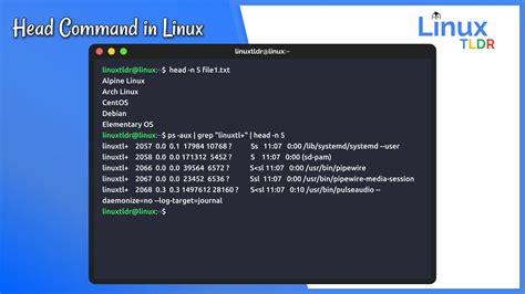 Linux Head Random