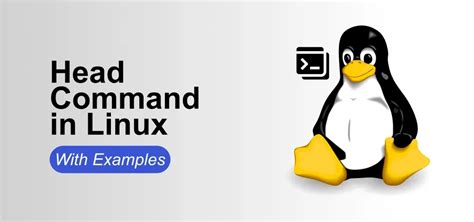 Linux Head Second Line