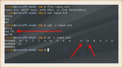 linux insert carriage return in text file
