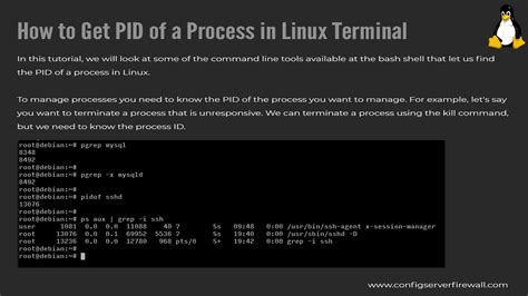 Linux Kill Process By Pid Command