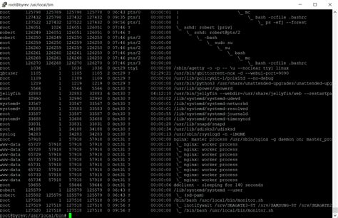 Linux Kill Process By Pid Script