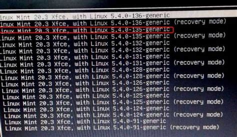 Linux Mint Kernel Panic Unable To Mount Root Fs