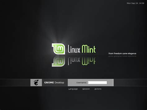 Linux Mint Timeout Login Screen