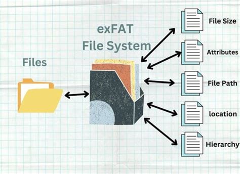 Linux Partition Exfat