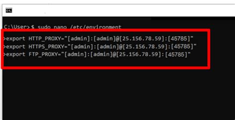 Linux Proxy Check