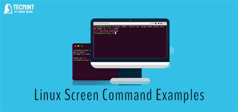 Linux Screen Get Output