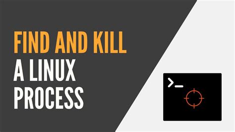 Linux Search And Kill Process