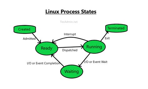 Linux Search For Process