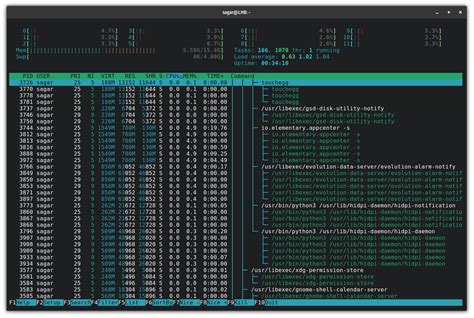 Linux Show Process