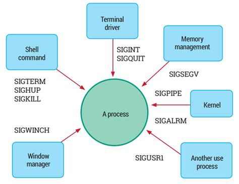 Linux Signal Process Group