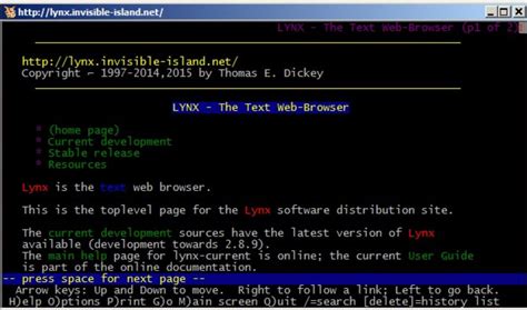 Linux Terminal Browser With Javascript