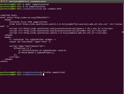 Linux Terminal Js