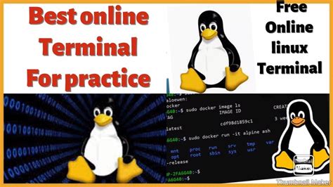 Linux Terminal Practice