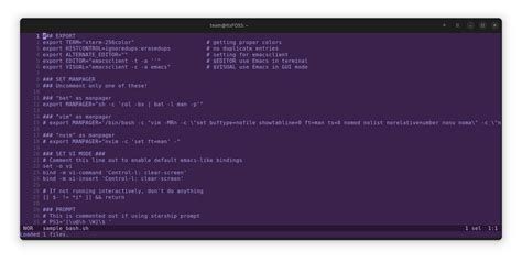 Linux Terminal Text Editor