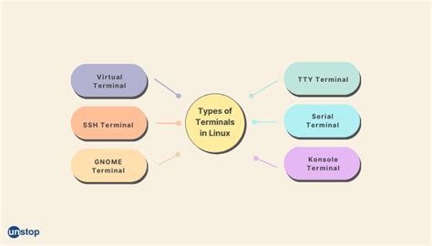 Linux Terminal Types