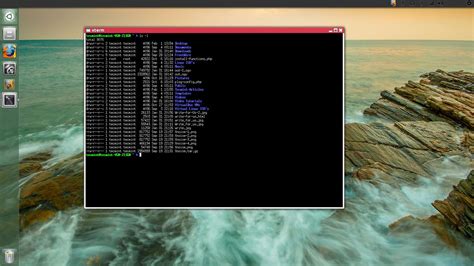 Linux Terminal Xterm