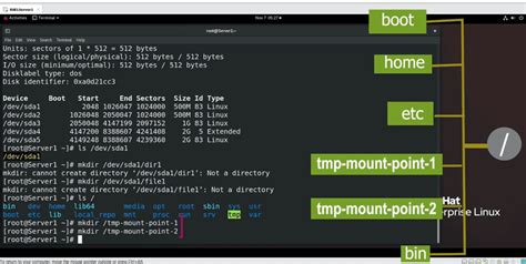 Linux Tmp Mount Point