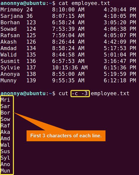 Linux Trim Last Character From File