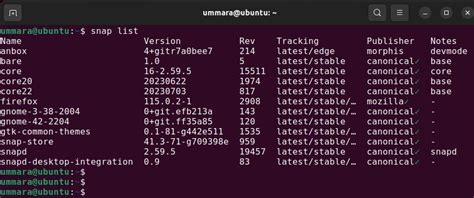 How To List Installed Packages in Linux Using Package Management