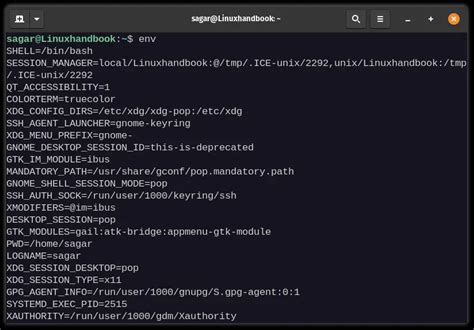 ENVVARS (variables de entorno) en GNU/Linux Junco TIC