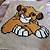lion king crochet blanket patterns
