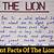 lion king summary essay 100 words
