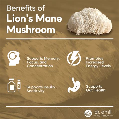 lion's mane mushroom benefits brain