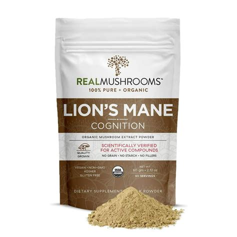 lion's mane mushroom powder