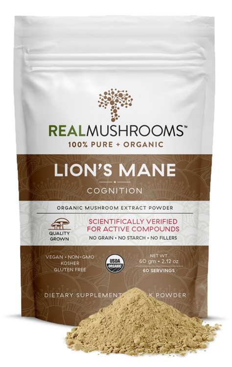 lion's mane mushroom powder uk