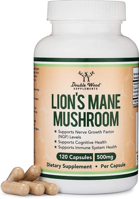 lion's mane mushroom supplement benefits