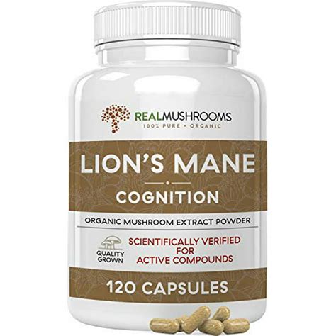 lion's mane mushrooms supplement