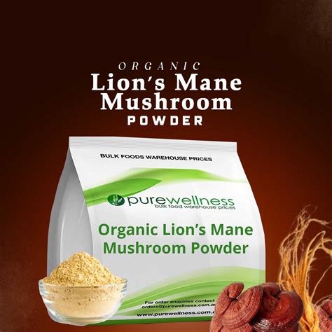 lion's mane powder benefits