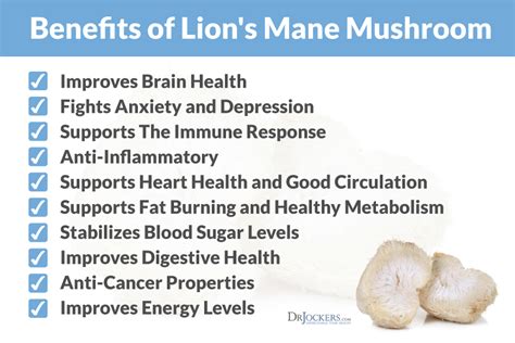 lion's mane supplement benefits