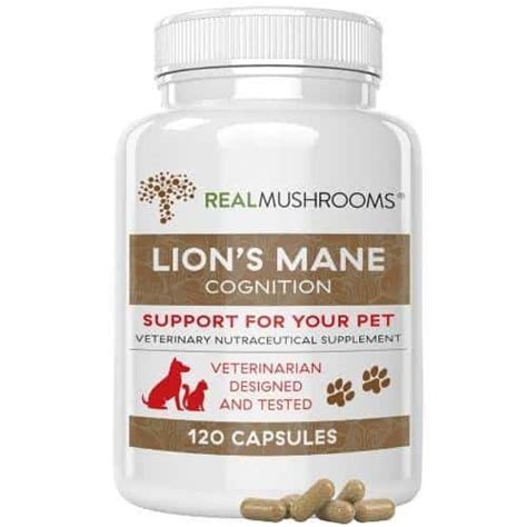 lion's mane supplement for dogs