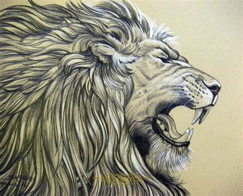 lion art drawing abstract