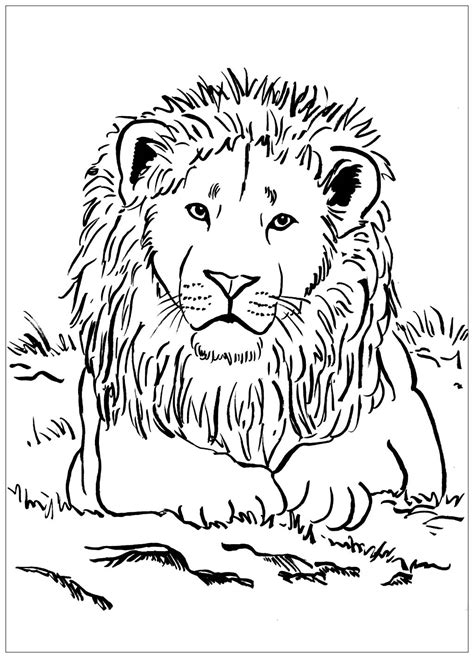 lion colouring sheet printable
