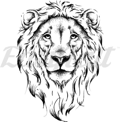 lion drawing black and white