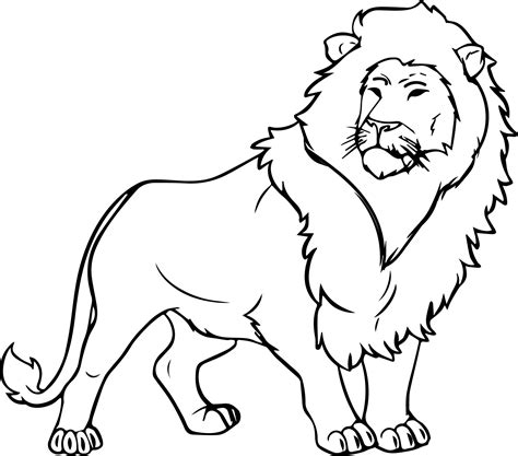 lion drawing for kids to color