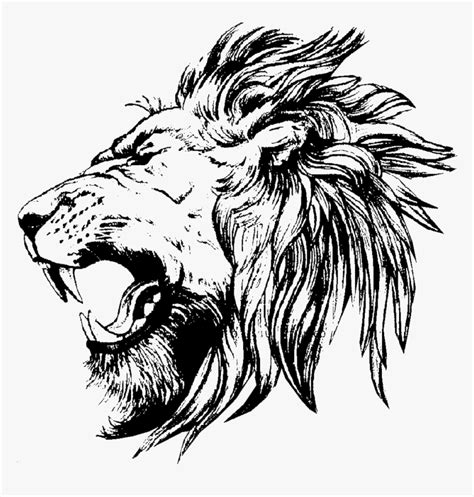 lion drawing side profile