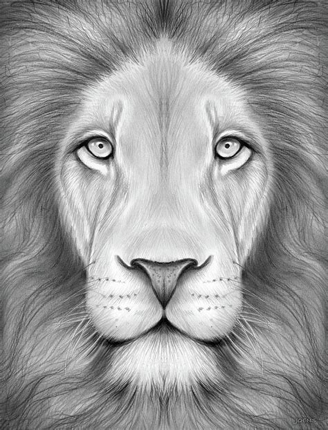 lion head drawing image