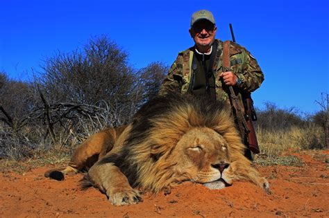 lion hunting south africa