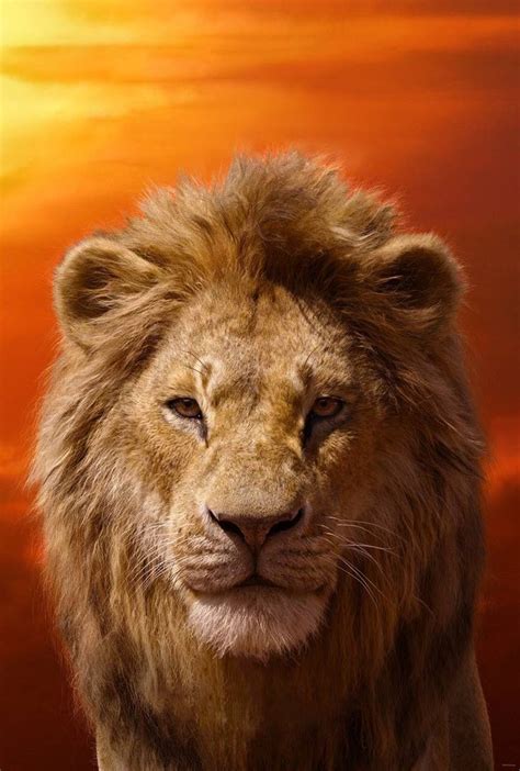 lion king wiki simba 2019