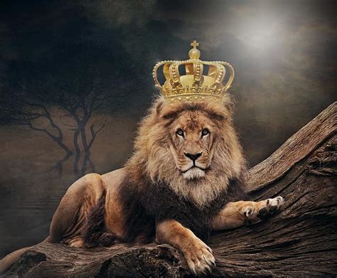 lion king with crown