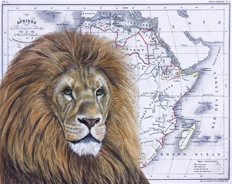 lion on african map painting