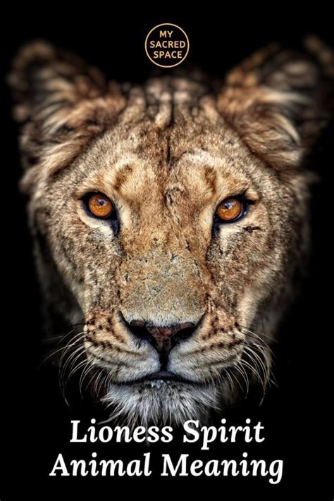 lioness spirit animal meaning