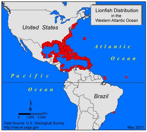 lionfish invasive species map